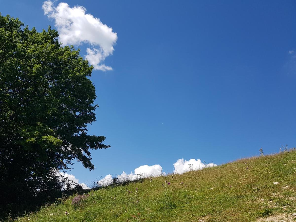 Donovaly Alonia Apartman Kültér fotó